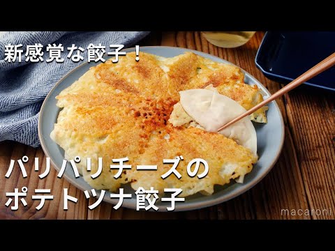 羽つき！おつまみにぴったり♪「パリパリチーズのポテトツナ餃子」#じゃがいも #餃子 #おかず