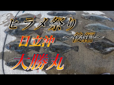 ヒラメ釣り 船釣り ヒラメ祭り開幕 後編 日立沖  代十五 大勝丸