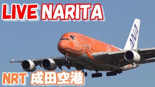 🔴LIVE at NARITA International Airport Plane Spotting　2024.12.27　成田空港ライブカメラ 成田空港　NRT/RJAA