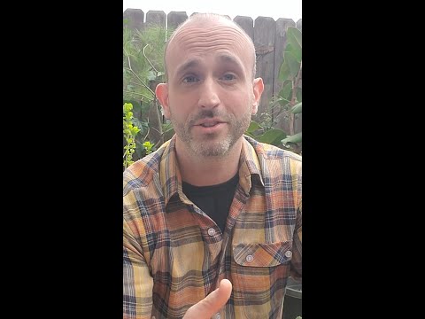 What does Steve think about the Hippie Hill 4/20 Story