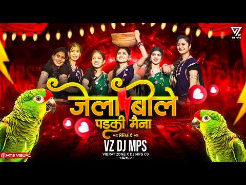 VZ DJ MPS - जेला बोले पड़की मैना DJ REMIX || SUWA GEET DJ REMIX सुवा गीत DJ SONG NEW 2024 MIX ||