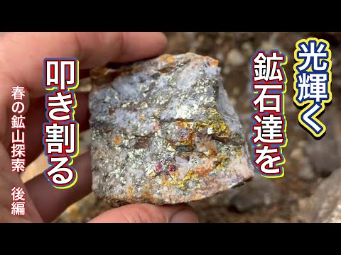 光輝く鉱石を叩き割る〜春の鉱山金属祭り　後編　【鉱物採集】