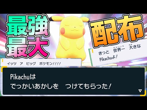 【最大証配布】今日もでっかい最強のピカチュウレイド配布するぞ！！！【ポケモンSV】