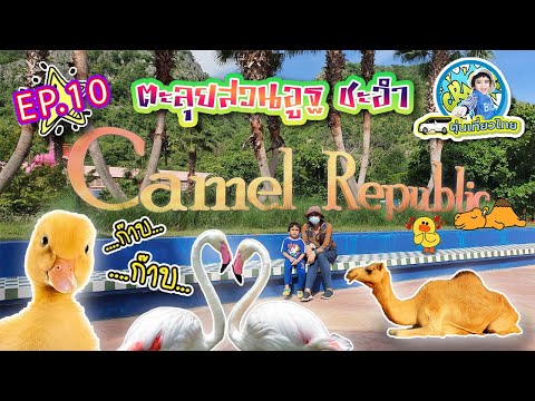 ตุ่นเที่ยวไทย l ลุยสวนอูฐกินไอศกรีมแสนอร่อยที่ Camel republic ชะอำ ดูอูฐ เป็ด นกฟลามิงโก้ EP10