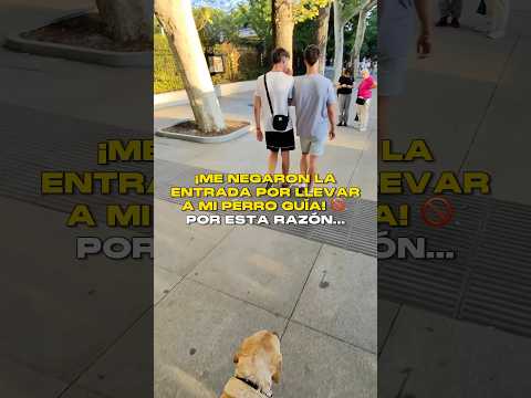 ¡Me negaron la entrada por llevar a mi perro guía! Por esta razón…🚫🦮