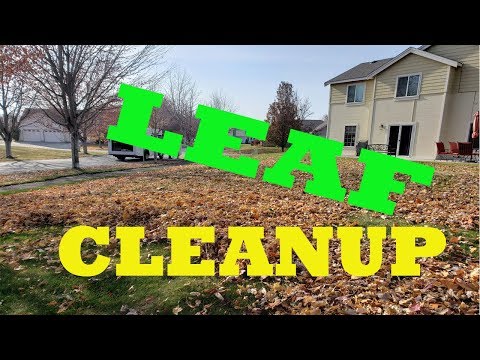 Exmark lazer Z Leaf Clean up