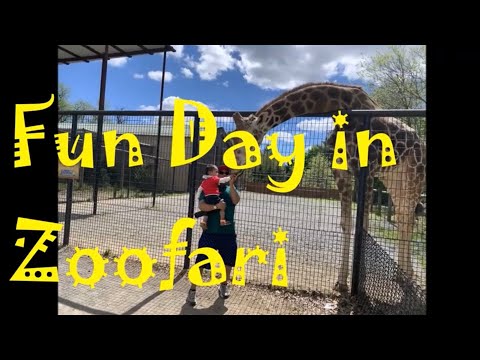 Fun Day in Roer's Zoofari Reston (Virginia)