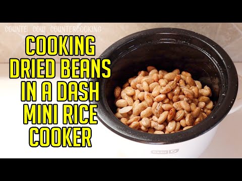 Cooking Dried Beans In A Dash Mini Rice Cooker