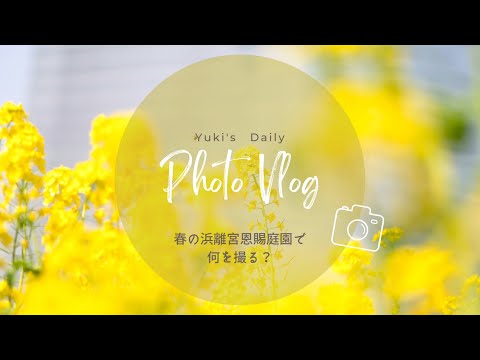 【Vlog】春の浜離宮恩賜公園で何を撮る？Z50を持って春のお花を撮りに行ってきました♪