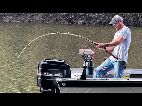 This Lake In The Mountains Of Tennessee is LOADED With Fish | NON-STOP ACTION!