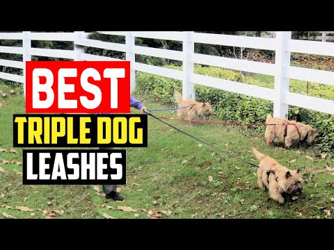 ✅Top 5 Best Triple Dog Leashes for Walking Three Dogs at Once in 2024