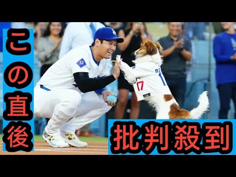 デコピン　Wikipediaに登場「大谷翔平が飼っている犬」ファンも反応「(犬)にわろたwww」