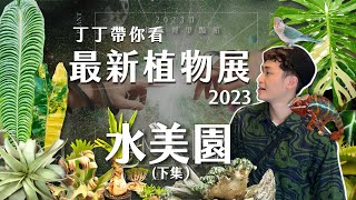 這是斑葉植物天堂嗎？甚至還有變色龍｜最新流行食蟲植物｜2023水美園觀展紀錄(下集)