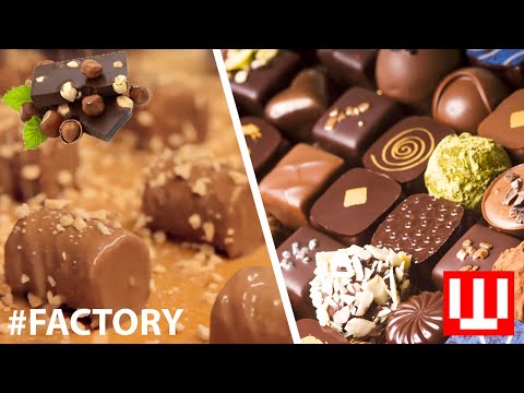 How Chocolate Is Made In Factory | Inside The Chocolate Manufacturing Industry