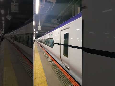 【E353系】立川駅を発車する特急はちおうじ3号【モトS115編成】