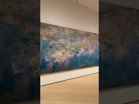 Mesmerizing Triptych of Claude Monet’s Water Lilies (1914-26) displayed at MoMA, New York!#moma #nyc