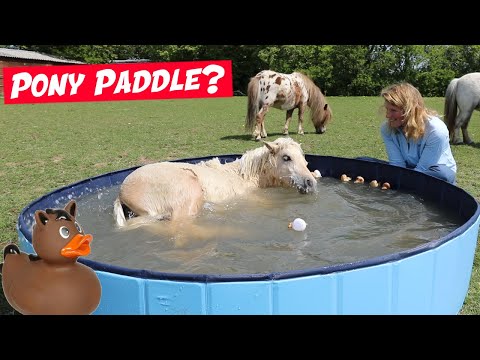 I bought my ponies a PADDLING POOL!