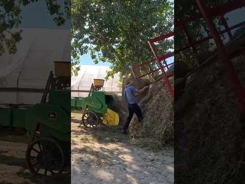 Amish baling hay with horses #amish #resourcefullawyer