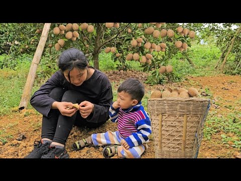 17 year old single mother: picks fruit to sell - builds chicken coop | Ly Tieu Nu