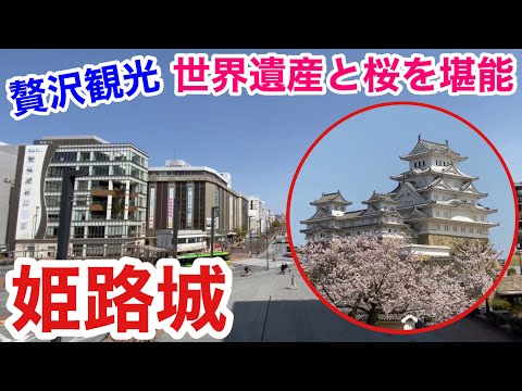 【姫路観光】贅沢観光！桜香る世界遺産・国宝姫路城を堪能