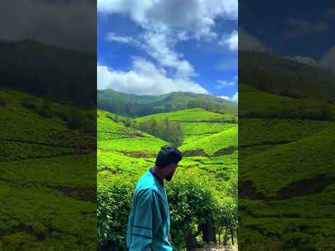 #hills #munnar #kerala #tourism #travel #vlog #life #solo #nature #landscape #views #shorts #reels