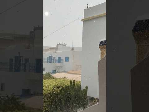 Today's temporary typhoon in Hammamet, Tunisia 😂 #shorts #tunisia #hammamet #typhoon #rain #rainfall