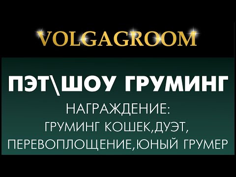 VOLGAGROOM 17.02: награждение 1 половина дня