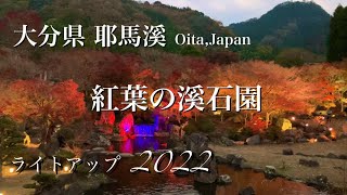 大分県 耶馬溪 【溪石園（けいせきえん）】幻想的な美しさ紅葉ライトアップ2022【ドライブ vlog】