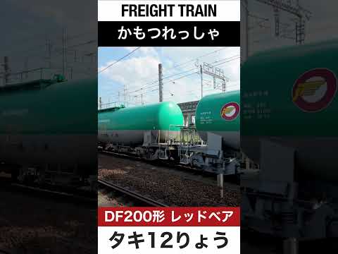 【タキ・ジョイント音】JR東海道本線を走る貨物列車【電車が大好きな子供向け】Japanese Trains for Kids - Freight Train