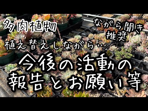 【多肉植物】今後の活動についてご報告とお願い！【ラジオ動画】