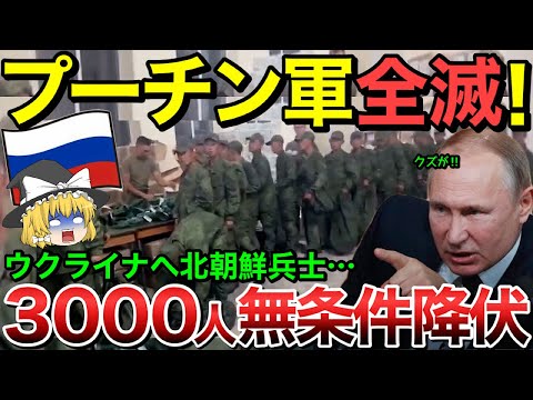 【ゆっくり解説】ロシア一瞬で裏切られプーチン軍全滅！北朝鮮兵3000人がウクライナに無条件降伏…！？【ゆっくり軍事プレス】