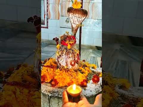 Sewa Pooja Bandgi| Bholenath| Bhole Baba| Sewa| Bandgi| #shorts #reels