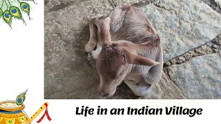 Life in an Indian Village EP 13 | Chhattisgarh Diaries | Village Girl | Village Life | Savitri Vlogs