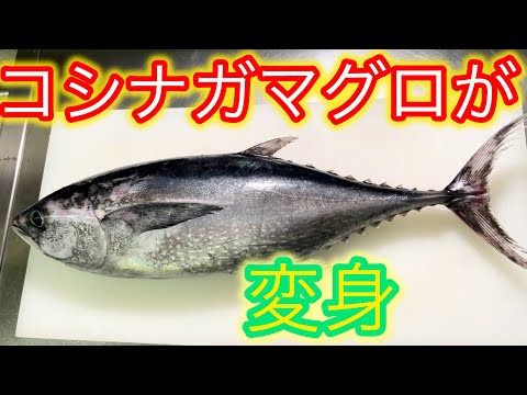 コシナガマグロがキャラクターに変身！