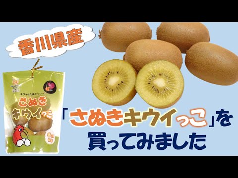 香川県産「さぬきキウイっこ」を買ってみました