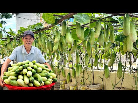 Just 1 Square Meter Of Land, Harvest Cucumbers Triple Yield – Don't Miss This Tip!