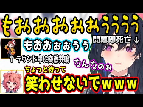 突然一ノ瀬うるはの物真似をしだすありさかに爆笑するあかりんｗｗｗ【Arisaka/VanilLa/紫宮るな/ぶいすぽっ！/切り抜き/valorant】