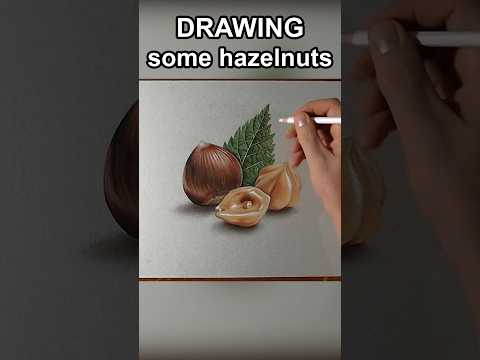 How to draw hazelnuts