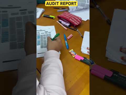 Audit Report | CA INTER | Team Discussion