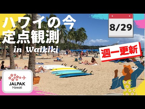 【ハワイの今】ワイキキ定点観測  2023年8月29日