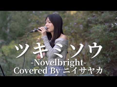 【横浜】ツキミソウ(Novelbright)/ニイサヤカ 【路上ライブ】