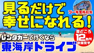 ハワイ東海岸ドライブ！🚗レンタカーのアドバイスと絶景コース＆おすすめ観光地！「ホノルルマラソンコースも」ハワイの景色を見て元気になろう！ワイマナロビーチ、カイルアのブーツアンドキモスも移転先ご紹介