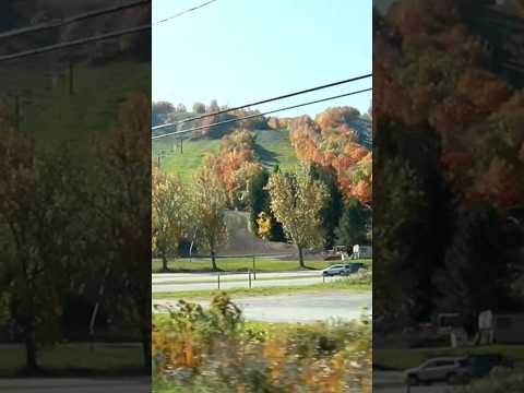 Beautiful Nature #fall #autumncolours #autumnfoliage #shortvideo