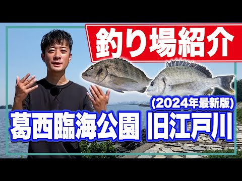 【葛西臨海公園/旧江戸川】クロダイとシーバスのメッカ！東京と千葉の釣りルールの違いとは？？