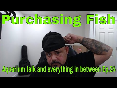 Purchasing fish