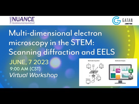 Multidimensional Electron Microscopy in the STEM: Scanning Diffraction and EELS Workshop