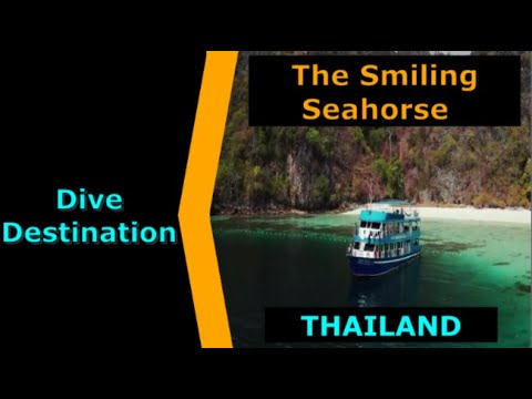 Diving Thailand,The Smiling Seahorse,Destination Spotlight for Scuba.Digital The #1 Online Dive Show