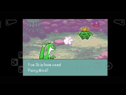 Battling MAY POKEMON SEAGLASS EMERALD