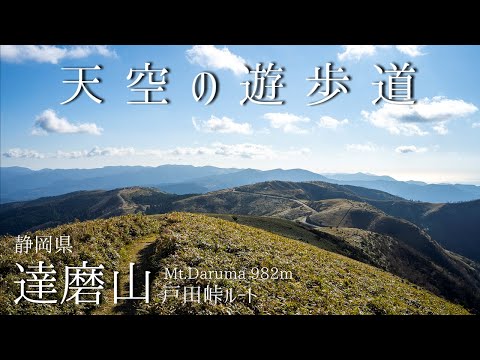 達磨山 -戸田峠より登る 天空の遊歩道-