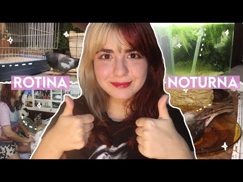 uma noite comigo cuidando de 60 pets :) I ROTINA NOTURNA